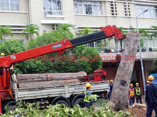 Kết quả tìm kiếm cho Cho thuê xe cẩu cây xanh tại Hải Phòng