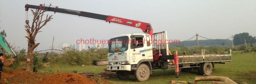 Kết quả tìm kiếm cho Địa điểm Cho thuê xe cẩu cây xanh tại Hải Phòng